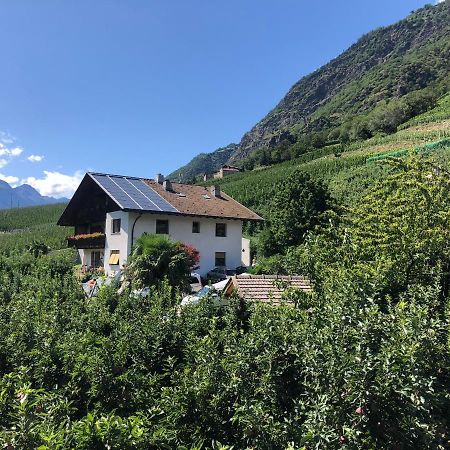 Pixnerhof - Urlaub Am Biohof Apartment Castelbello Exterior photo